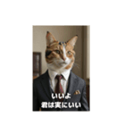 全肯定ヌコ（個別スタンプ：7）
