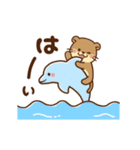 動く！コツメカワウソ♡毎日使える大人,夏（個別スタンプ：17）