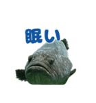 大きな魚（個別スタンプ：2）