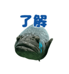 大きな魚（個別スタンプ：6）