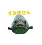 大きな魚（個別スタンプ：8）