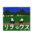 「夏」おもちこりーにょの「日常は愛④」（個別スタンプ：13）
