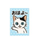 子猫のおもち（個別スタンプ：1）