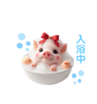 ぶたちゃんの挨拶（個別スタンプ：1）