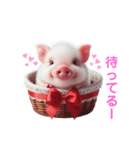ぶたちゃんの挨拶（個別スタンプ：2）