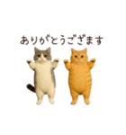 動く！2匹はぽっちゃりねこ（個別スタンプ：1）