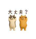 動く！2匹はぽっちゃりねこ（個別スタンプ：5）