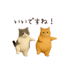 動く！2匹はぽっちゃりねこ（個別スタンプ：14）