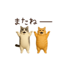 動く！2匹はぽっちゃりねこ（個別スタンプ：19）