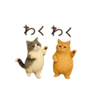 動く！2匹はぽっちゃりねこ（個別スタンプ：21）