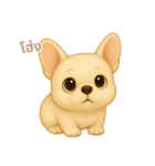 ワンだふる｜フレンチブルドッグ【タイ語】（個別スタンプ：1）