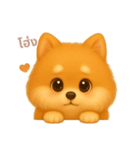 ワンだふる｜ポメラニアン【タイ語】（個別スタンプ：7）
