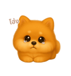 ワンだふる｜ポメラニアン【タイ語】（個別スタンプ：15）