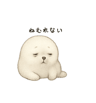 ゴマフアザラシ（個別スタンプ：3）