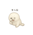 ゴマフアザラシ（個別スタンプ：4）