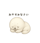 ゴマフアザラシ（個別スタンプ：5）