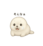 ゴマフアザラシ（個別スタンプ：11）