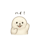 ゴマフアザラシ（個別スタンプ：16）
