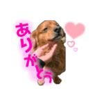 銀ちゃんすたんぴゅ（個別スタンプ：4）