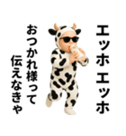 エッホエッホ 赤ちゃん 伝えなきゃ うし柄（個別スタンプ：7）