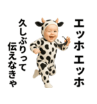エッホエッホ 赤ちゃん 伝えなきゃ うし柄（個別スタンプ：8）