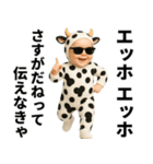 エッホエッホ 赤ちゃん 伝えなきゃ うし柄（個別スタンプ：17）