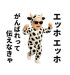 エッホエッホ 赤ちゃん 伝えなきゃ うし柄（個別スタンプ：22）