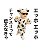 エッホエッホ 赤ちゃん 伝えなきゃ うし柄（個別スタンプ：24）