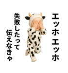 エッホエッホ 赤ちゃん 伝えなきゃ うし柄（個別スタンプ：29）