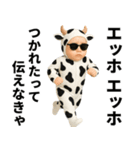 エッホエッホ 赤ちゃん 伝えなきゃ うし柄（個別スタンプ：30）
