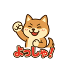 どや顔柴犬の毎日スタンプ（個別スタンプ：1）