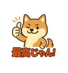 どや顔柴犬の毎日スタンプ（個別スタンプ：2）