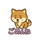 どや顔柴犬の毎日スタンプ（個別スタンプ：3）