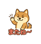 どや顔柴犬の毎日スタンプ（個別スタンプ：4）
