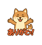 どや顔柴犬の毎日スタンプ（個別スタンプ：5）