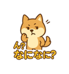 どや顔柴犬の毎日スタンプ（個別スタンプ：6）