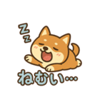 どや顔柴犬の毎日スタンプ（個別スタンプ：7）