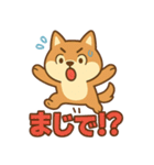 どや顔柴犬の毎日スタンプ（個別スタンプ：8）