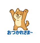 どや顔柴犬の毎日スタンプ（個別スタンプ：10）
