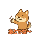 どや顔柴犬の毎日スタンプ（個別スタンプ：13）