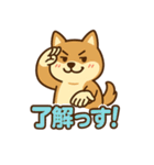 どや顔柴犬の毎日スタンプ（個別スタンプ：14）