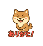 どや顔柴犬の毎日スタンプ（個別スタンプ：17）