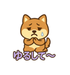 どや顔柴犬の毎日スタンプ（個別スタンプ：18）