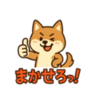 どや顔柴犬の毎日スタンプ（個別スタンプ：19）