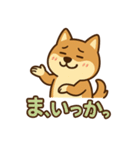 どや顔柴犬の毎日スタンプ（個別スタンプ：21）