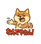 どや顔柴犬の毎日スタンプ（個別スタンプ：25）