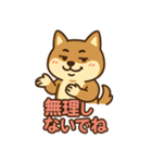 どや顔柴犬の毎日スタンプ（個別スタンプ：26）