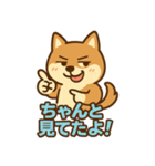 どや顔柴犬の毎日スタンプ（個別スタンプ：27）