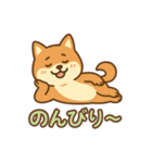 どや顔柴犬の毎日スタンプ（個別スタンプ：32）