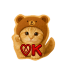 くまの帽子ねこ（個別スタンプ：1）